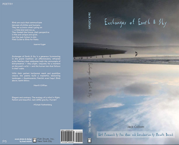 
Exchanges of Earth and Sky Cover